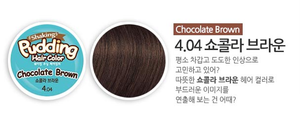 韩国 Ezn布丁摇摇染发膏 （70ml+70ml）4.04 巧克力色