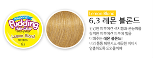 韩国 Ezn布丁摇摇染发膏 （70ml+70ml）6.3柠檬金