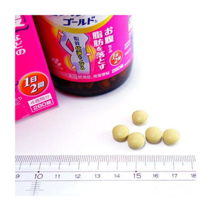 KOBAYASHI小林制药 腹部排油丸锭脂纤体纯汉方 大柴胡汤 基础版 (140粒)