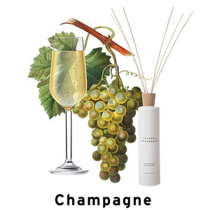 Layered Fragrance - Layered F. 室内香氛500mL -Champagne 香槟味