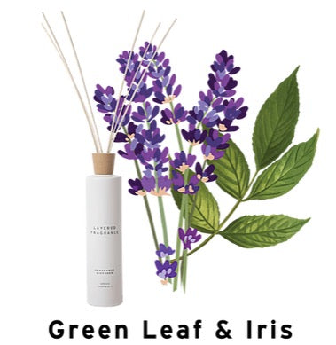 Layered Fragrance - Layered F. 室内香氛500ml - Green Leaf & Iris 綠葉及鳶尾花