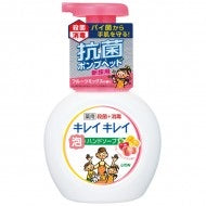 将图片加载到图库查看器，LION 狮王 KireiKirei 药用泡沫洗手液 250ml (混合水果香型)
