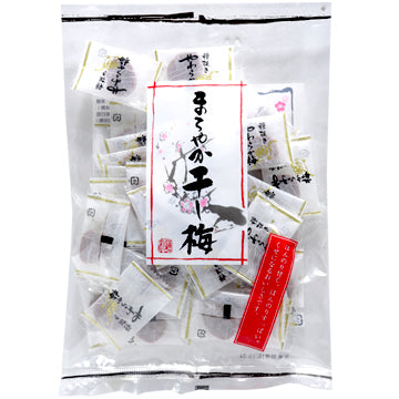 新品零食！日本零食日本限定 干梅干独立包装无核话梅肉饼。酸梅160g